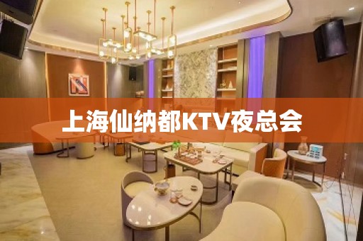 上海仙纳都KTV夜总会