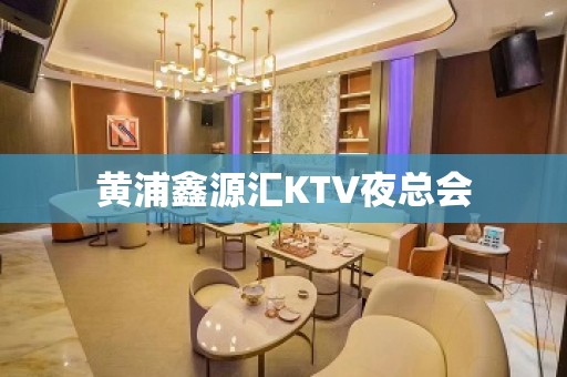 黄浦鑫源汇KTV夜总会