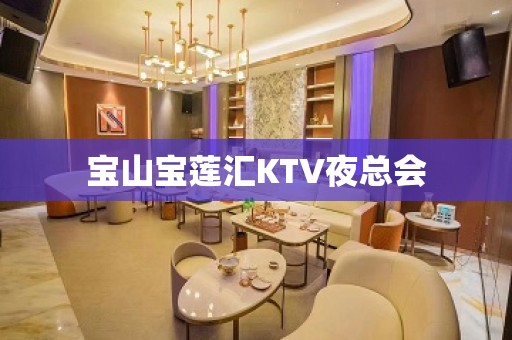 宝山宝莲汇KTV夜总会