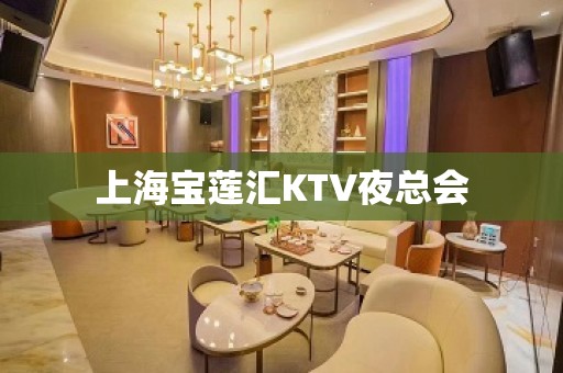 上海宝莲汇KTV夜总会