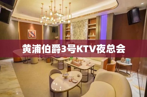 黄浦伯爵3号KTV夜总会