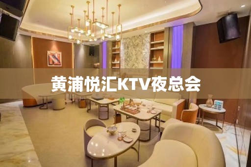 黄浦悦汇KTV夜总会