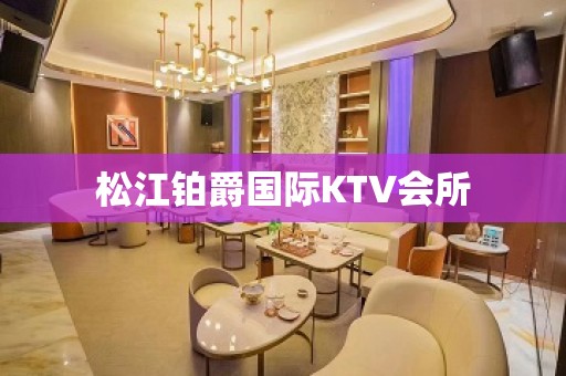 松江铂爵国际KTV会所