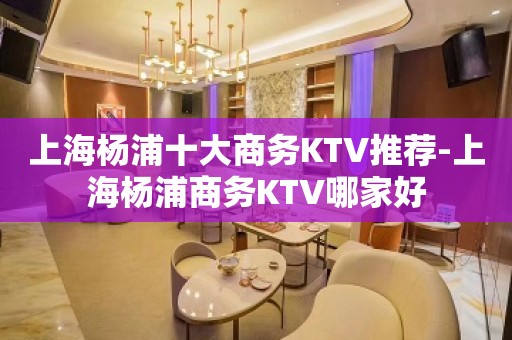 上海杨浦十大商务KTV推荐-上海杨浦商务KTV哪家好