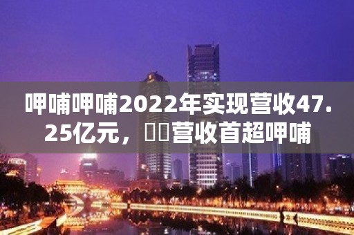 呷哺呷哺2022年实现营收47.25亿元，湊湊营收首超呷哺