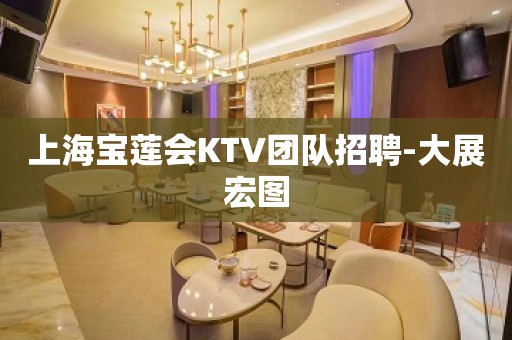 上海宝莲会KTV团队招聘-大展宏图