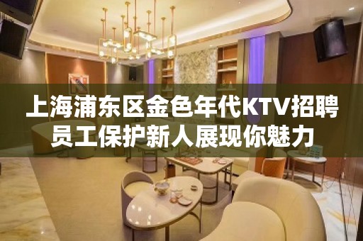 上海浦东区金色年代KTV招聘员工保护新人展现你魅力