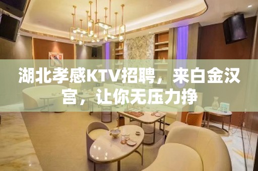 湖北孝感KTV招聘，来白金汉宫，让你无压力挣