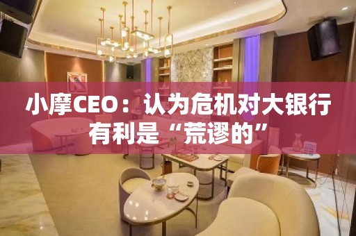 小摩CEO：认为危机对大银行有利是“荒谬的”