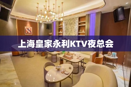 上海皇家永利KTV夜总会