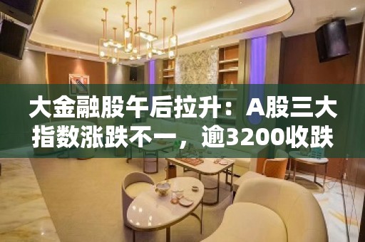 大金融股午后拉升：A股三大指数涨跌不一，逾3200收跌