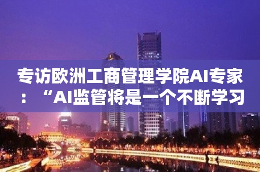 专访欧洲工商管理学院AI专家：“AI监管将是一个不断学习的过程”