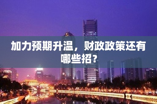 加力预期升温，财政政策还有哪些招？