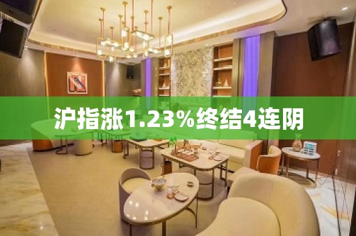 沪指涨1.23%终结4连阴