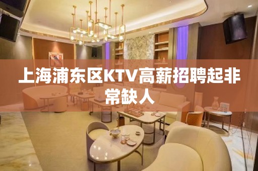 上海浦东区KTV高薪招聘起非常缺人