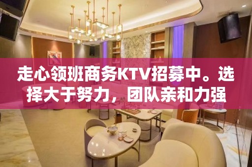 走心领班商务KTV招募中。选择大于努力，团队亲和力强