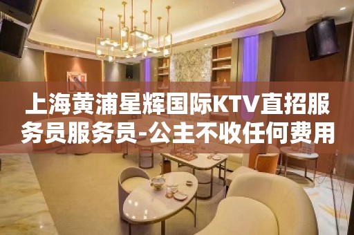 上海黄浦星辉国际KTV直招服务员服务员-公主不收任何费用无需经验