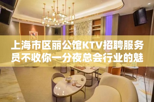 上海市区丽公馆KTV招聘服务员不收你一分夜总会行业的魅力