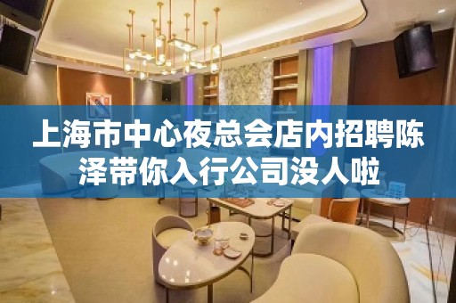 上海市中心夜总会店内招聘陈泽带你入行公司没人啦