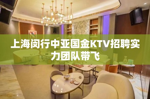 上海闵行中亚国金KTV招聘实力团队带飞