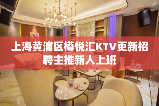 上海黄浦区樽悦汇KTV更新招聘主推新人上班