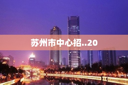 苏州市中心招..20