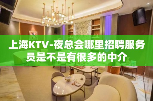 上海KTV-夜总会哪里招聘服务员是不是有很多的中介