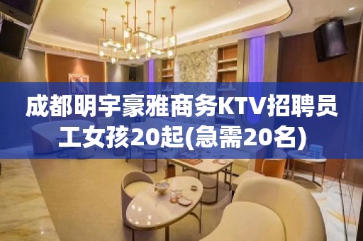 成都明宇豪雅商务KTV招聘员工女孩20起(急需20名)