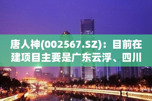 唐人神(002567.SZ)：目前在建项目主要是广东云浮、四川雅安等母猪场项目