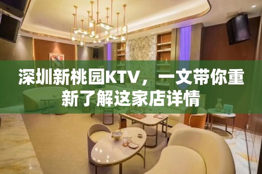 深圳新桃园KTV，一文带你重新了解这家店详情