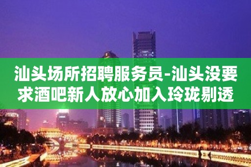 汕头场所招聘服务员-汕头没要求酒吧新人放心加入玲珑剔透