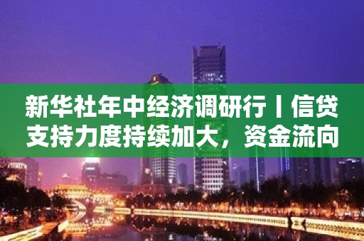 新华社年中经济调研行丨信贷支持力度持续加大，资金流向何处？——年中经济调研行之金融篇