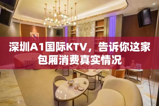 深圳A1国际KTV，告诉你这家包厢消费真实情况