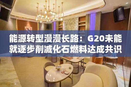 能源转型漫漫长路：G20未能就逐步削减化石燃料达成共识