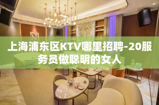 上海浦东区KTV哪里招聘-20服务员做聪明的女人