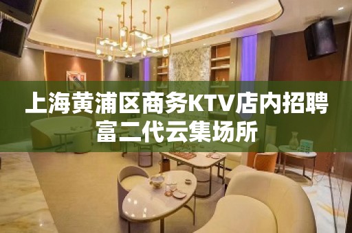 上海黄浦区商务KTV店内招聘富二代云集场所