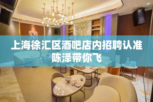 上海徐汇区酒吧店内招聘认准陈泽带你飞