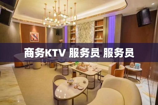 商务KTV 服务员 服务员