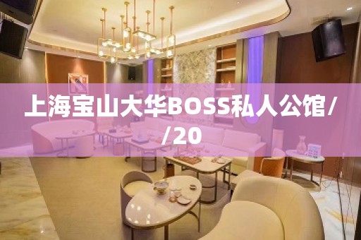 上海宝山大华BOSS私人公馆//20