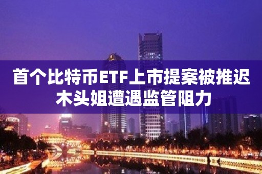 首个比特币ETF上市提案被推迟 木头姐遭遇监管阻力