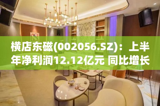 横店东磁(002056.SZ)：上半年净利润12.12亿元 同比增长52.03%