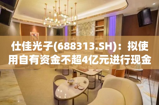 仕佳光子(688313.SH)：拟使用自有资金不超4亿元进行现金管理