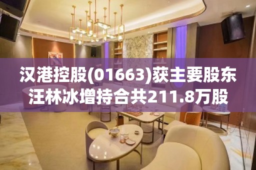 汉港控股(01663)获主要股东汪林冰增持合共211.8万股