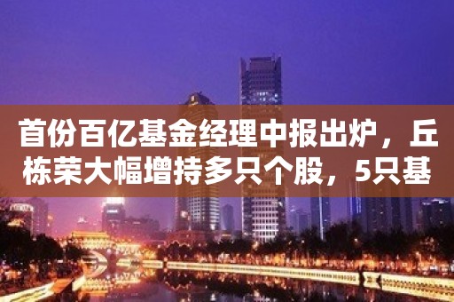 首份百亿基金经理中报出炉，丘栋荣大幅增持多只个股，5只基金隐形重仓股曝光（名单）