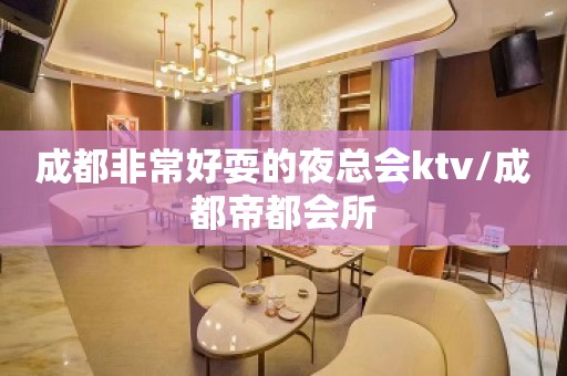 成都非常好耍的夜总会ktv/成都帝都会所