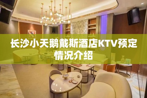 长沙小天鹅戴斯酒店KTV预定情况介绍