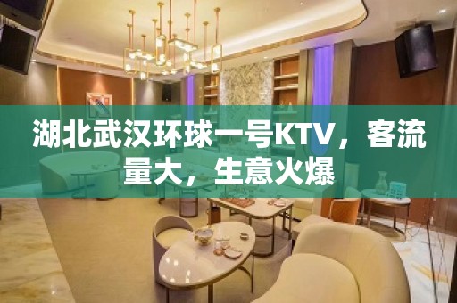 湖北武汉环球一号KTV，客流量大，生意火爆