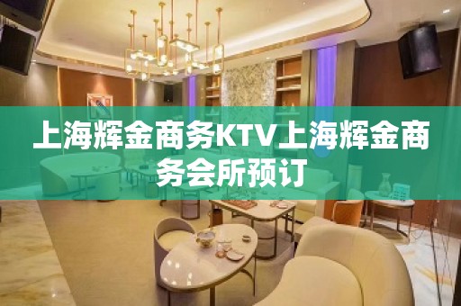 上海辉金商务KTV上海辉金商务会所预订