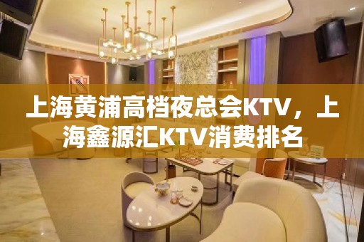 上海黄浦高档夜总会KTV，上海鑫源汇KTV消费排名