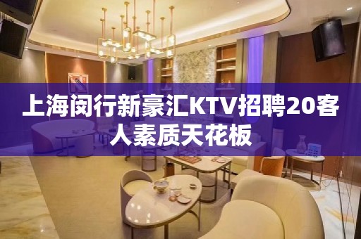 上海闵行新豪汇KTV招聘20客人素质天花板